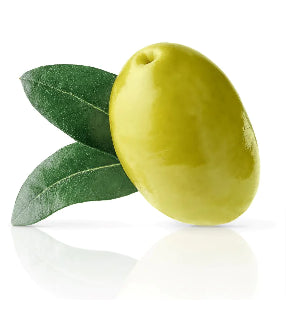 Olive Oil