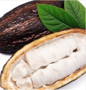 Cacao Butter