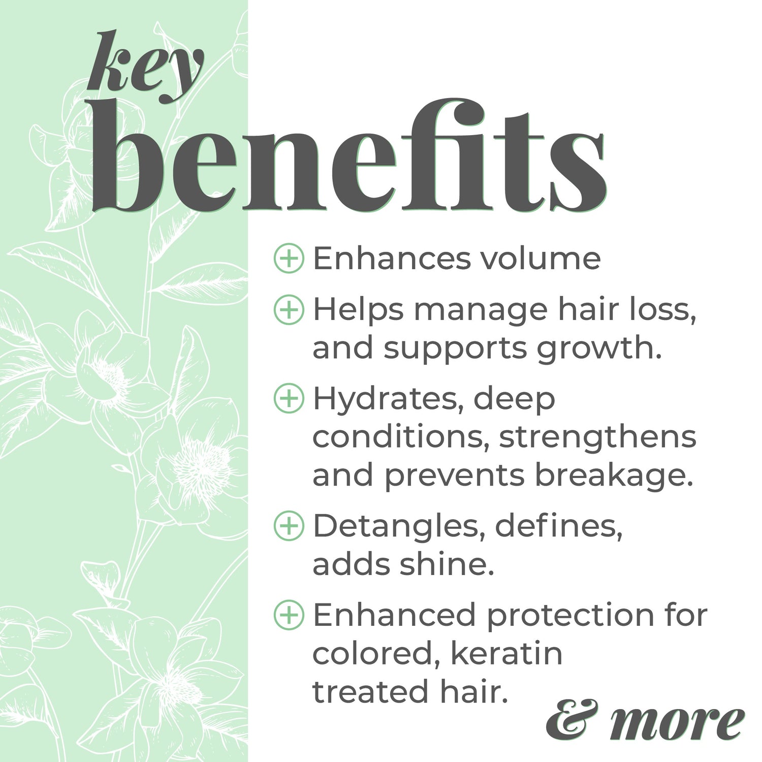 Biotin Acv Hair Wash and Style Bundle for Fine Curls (4 products)